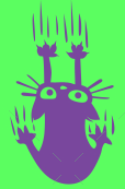 CrazyCatCompany